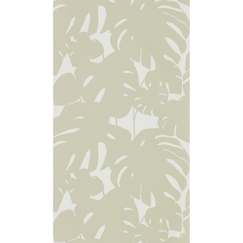 Arizona Botanical Wallpaper 111823 by Scion in Pebble Beige